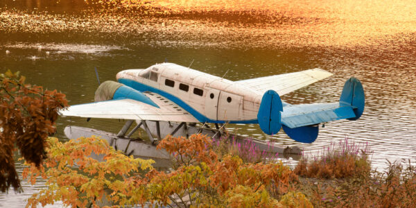 Beech 18 of Cambron Casteau