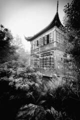 Wallonia Hisashi